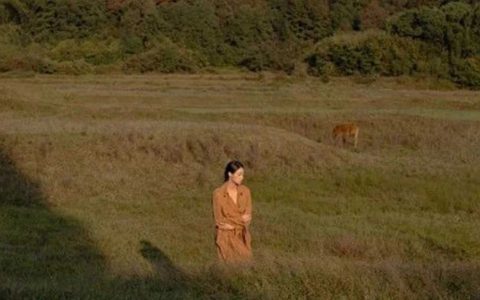 大学校园兴起“奶头乐”，不少大学生深陷其中，家长却浑然不知