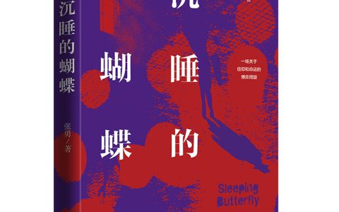 好书推荐：《沉睡的蝴蝶》