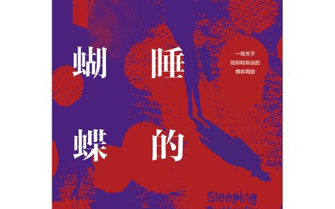 《沉睡的蝴蝶》试读