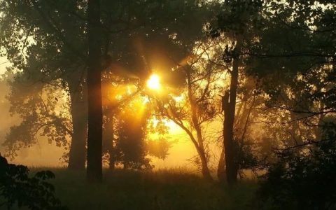 一口气读了5本文学批评，我的4点收获！