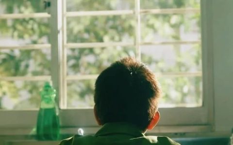 为什么我看了那么多书，还是过不好这一生？