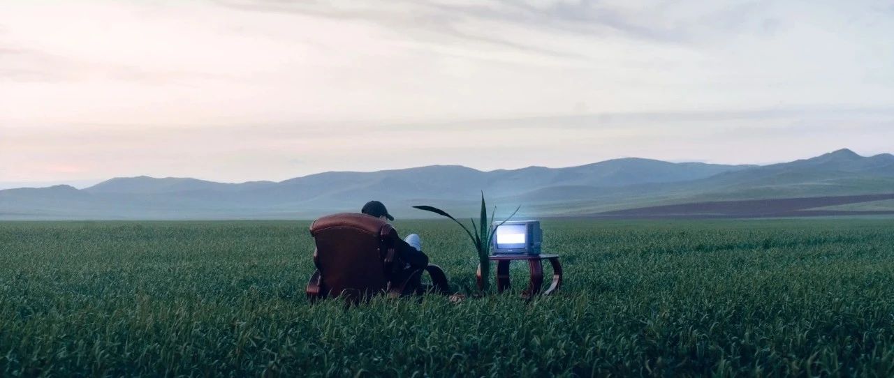 没时间读书？很薄很经典！回味无穷的9本书！