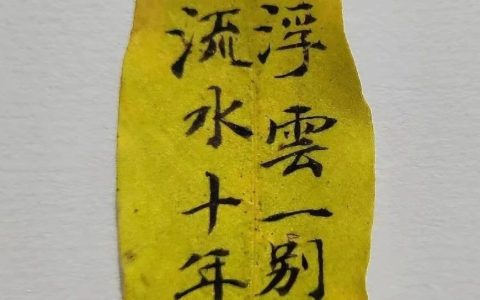 百草园秋日特辑：被书法人美到了