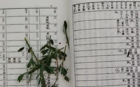 读书随感｜旅行的意义｜自我介绍