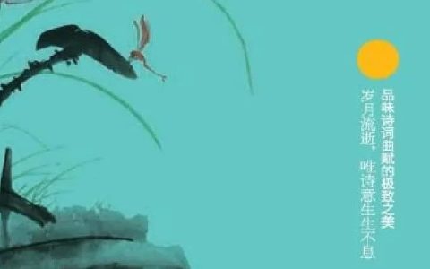 书单推荐：处暑至，跟着文字漂流，让你的思想成为宇宙中心