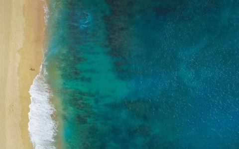 推荐两个极容易被忽视的当代作家