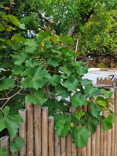 离职之后,我在图书馆“假装上班”