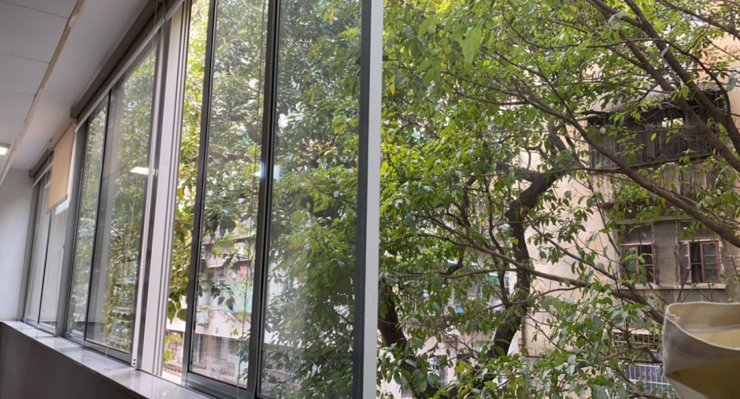 离职之后,我在图书馆“假装上班”