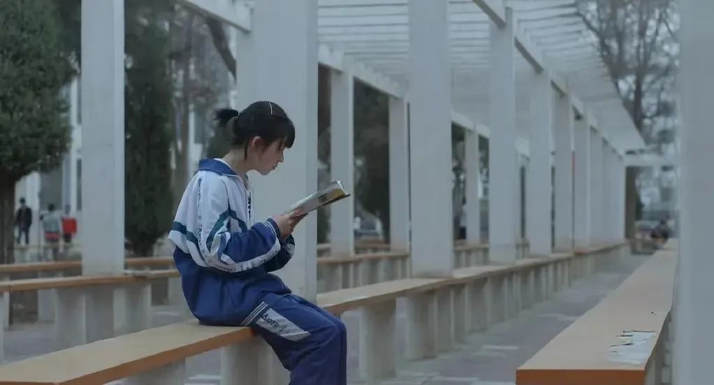 强烈推荐《县中》这本与绝大多数人息息相关的社科书籍!!!