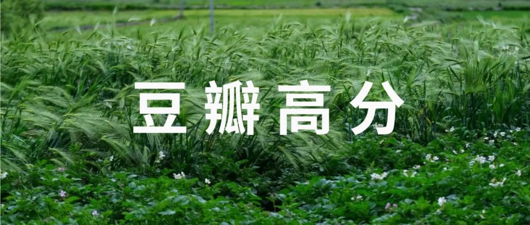 终于有人把这些豆瓣高分集齐了,免费看第四期!