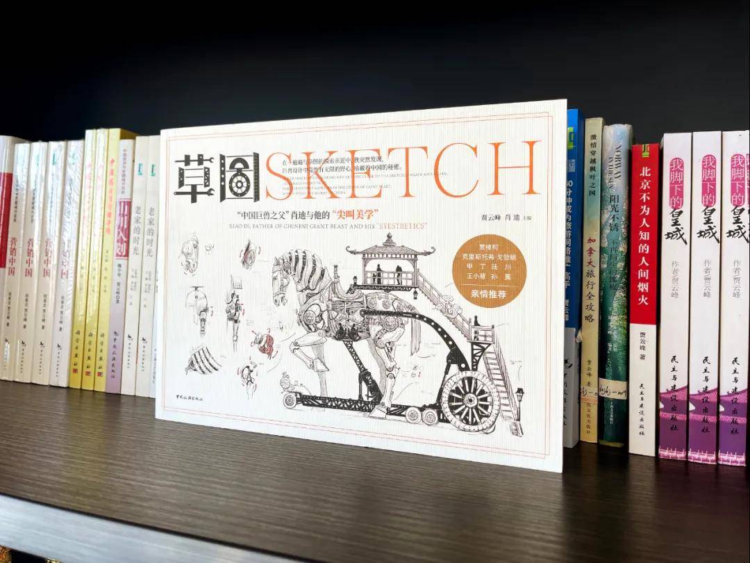 《草图》读后感：这里面暗含很多秘密