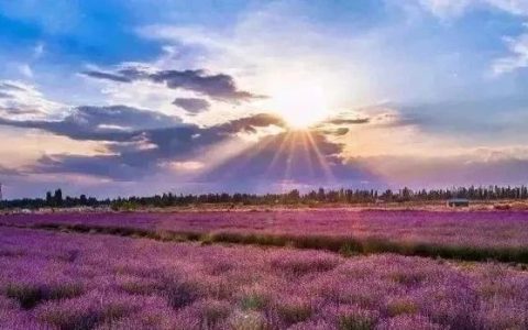 京东好书榜销量超百万册的4本人生好书！