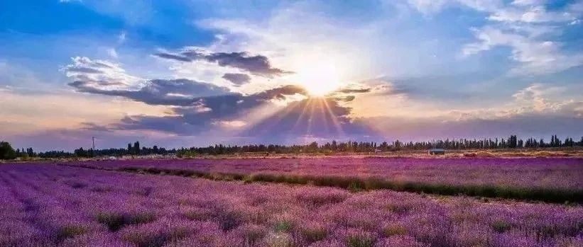 京东好书榜销量超百万册的4本人生好书！