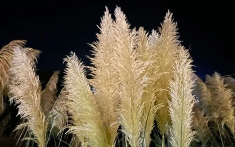 为什么我热衷于做无用功？