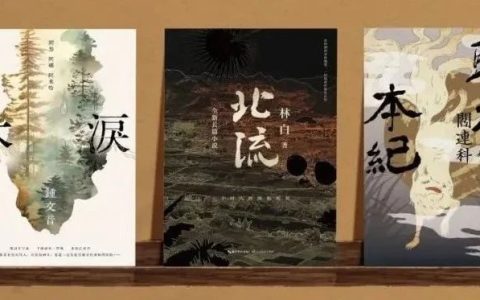 林白《北流》荣获「红楼梦奖：世界华文长篇小说奖」决审团奖