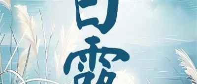 白露节气书单：八月白露降，槐叶次第黄