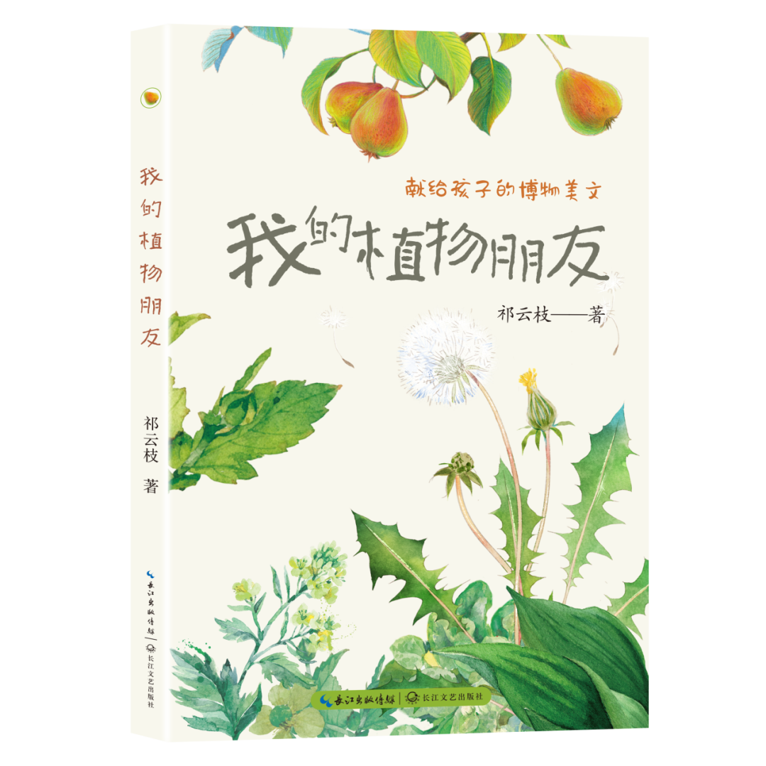 长江传媒2024年8月新书推介