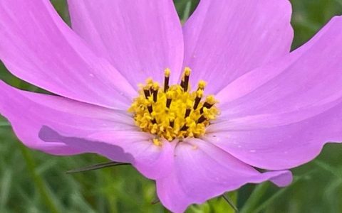 图书馆也要加班吗？