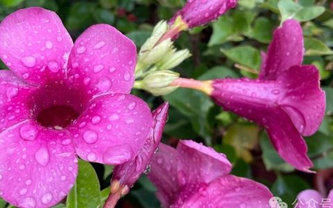 图书馆提供座位数与每日实际到馆人数，多少比例合适？