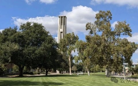 吴丹：算法素养是什么？