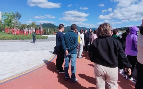 为啥我们都是胖仙女？