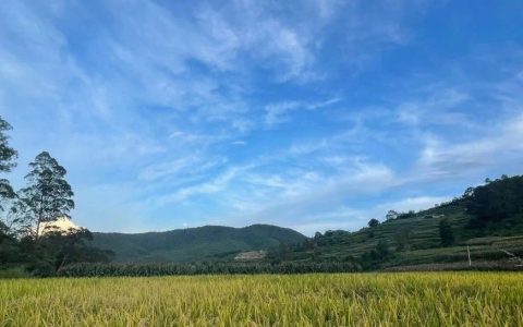 关于图书馆从业人员培训需求的观察与思考