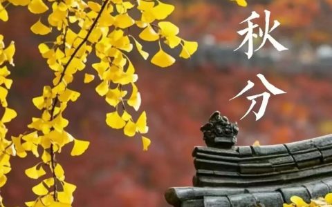 今日秋分：风清露冷，这6本书给你多重美的享受