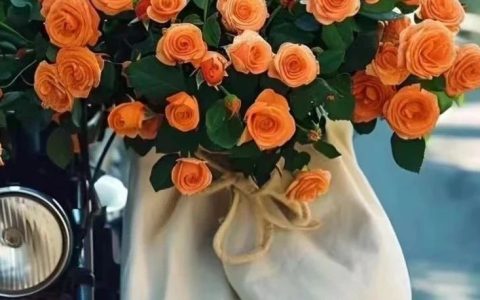 最近的3个小故事，给我很大的启发