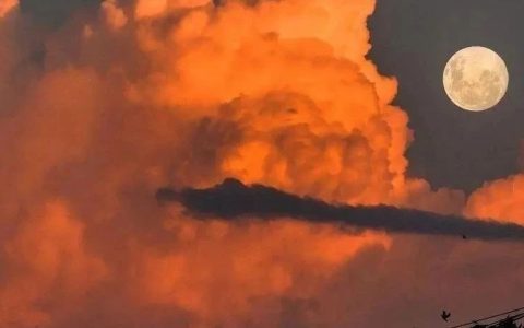 名著中那些堪称神来之笔的结尾