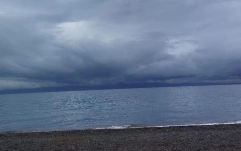 为什么孔夫子不支持转借东西助人？