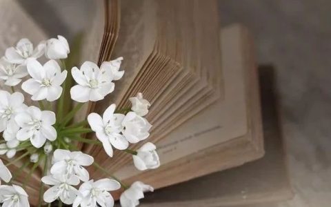 叶圣陶：怎样指导学生课外阅读