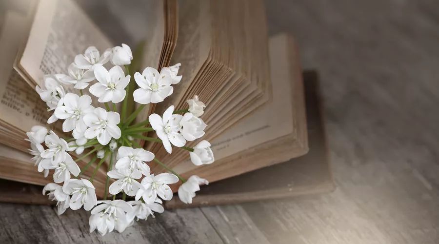 叶圣陶：怎样指导学生课外阅读