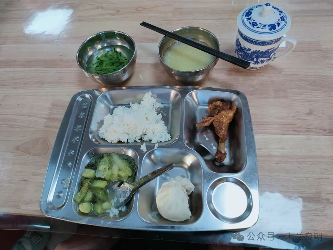 老父在颐年：吃鸭子不能飞