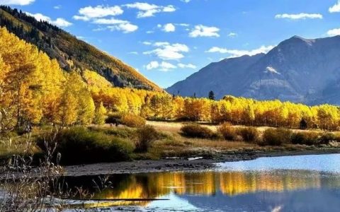 数字资源利用系列讲座实践与探索