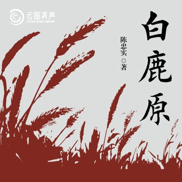 8部经典长篇小说免费听,在这些作品中“阅读”中国