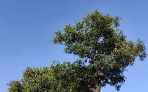 9月份总结：全家瘦了35斤，读书越来越慢了