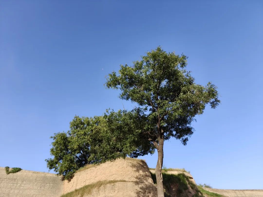 9月份总结:全家瘦了35斤,读书越来越慢了