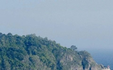 《明智创富指南》是一本鸡汤书吗？