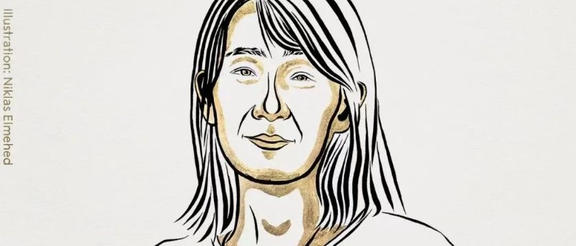 2024年诺贝尔文学奖揭晓，强烈推荐韩江的这7本好书！