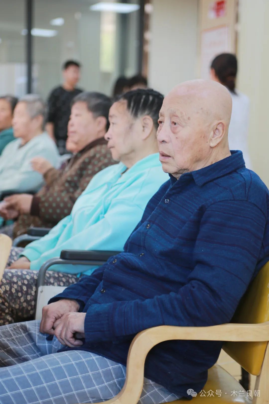 老父在颐年：离火葬场越来越近啦！