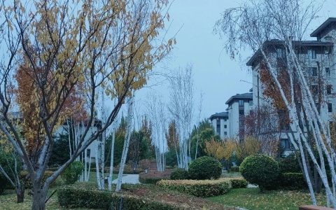 逃离暴躁症和窝里横