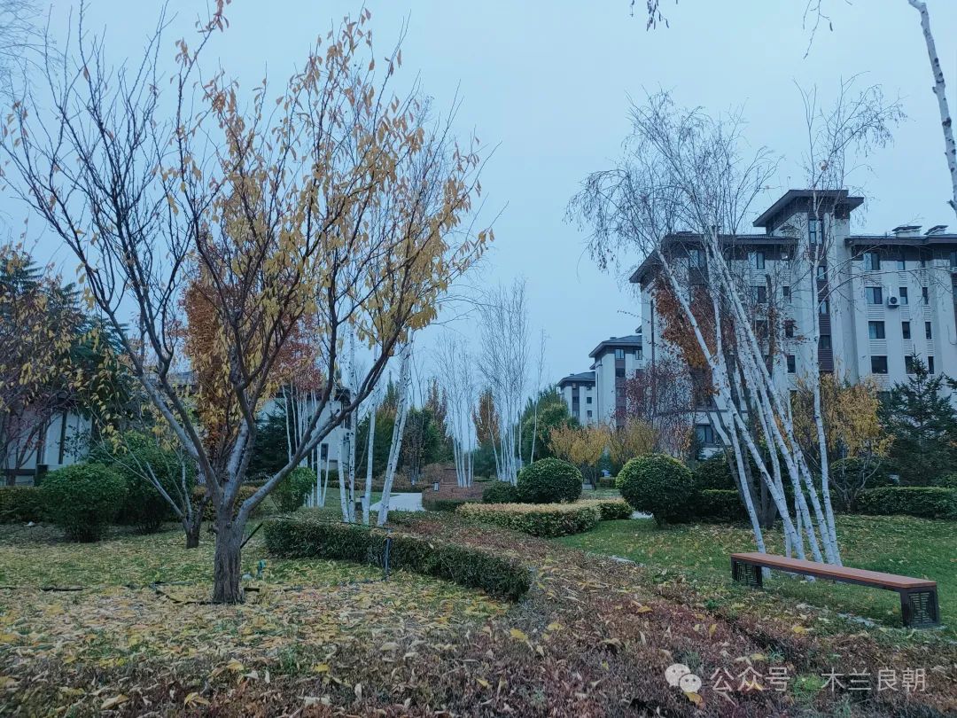 逃离暴躁症和窝里横