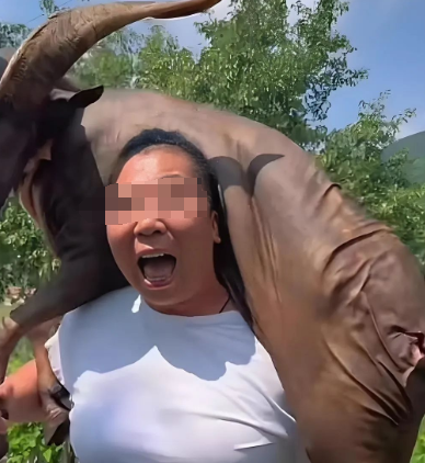 彻底凉了!东北雨姐塌房之后,拍摄基地被曝已人去楼空