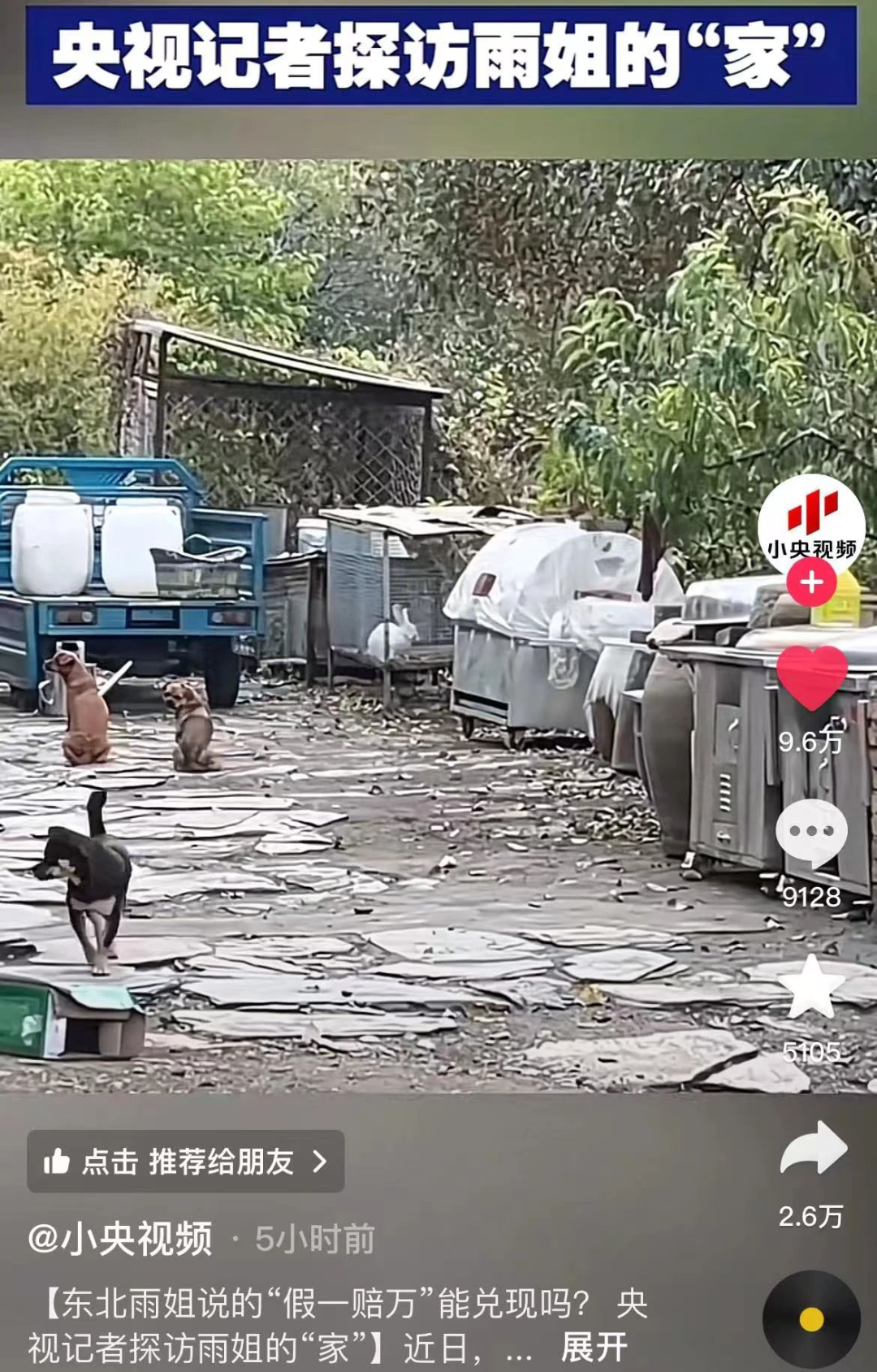 东北雨姐事件大结局,最大的受害者出现了