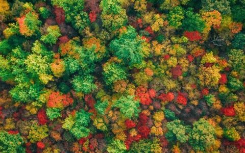 谈谈最近读的一本入门书《写给大家看的设计书》