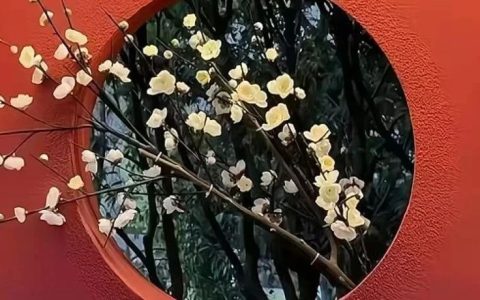 2025年日历全攻略，有这5本就够了！