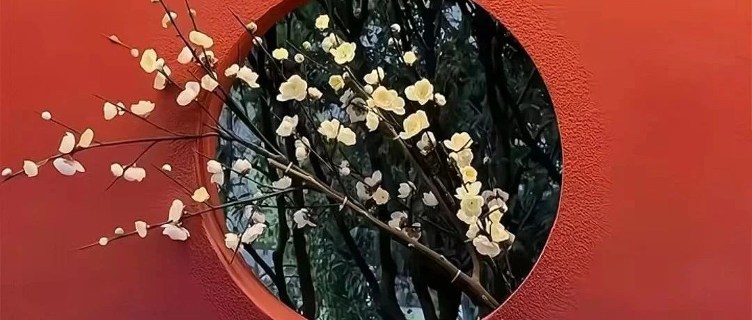 2025年日历全攻略，有这5本就够了！