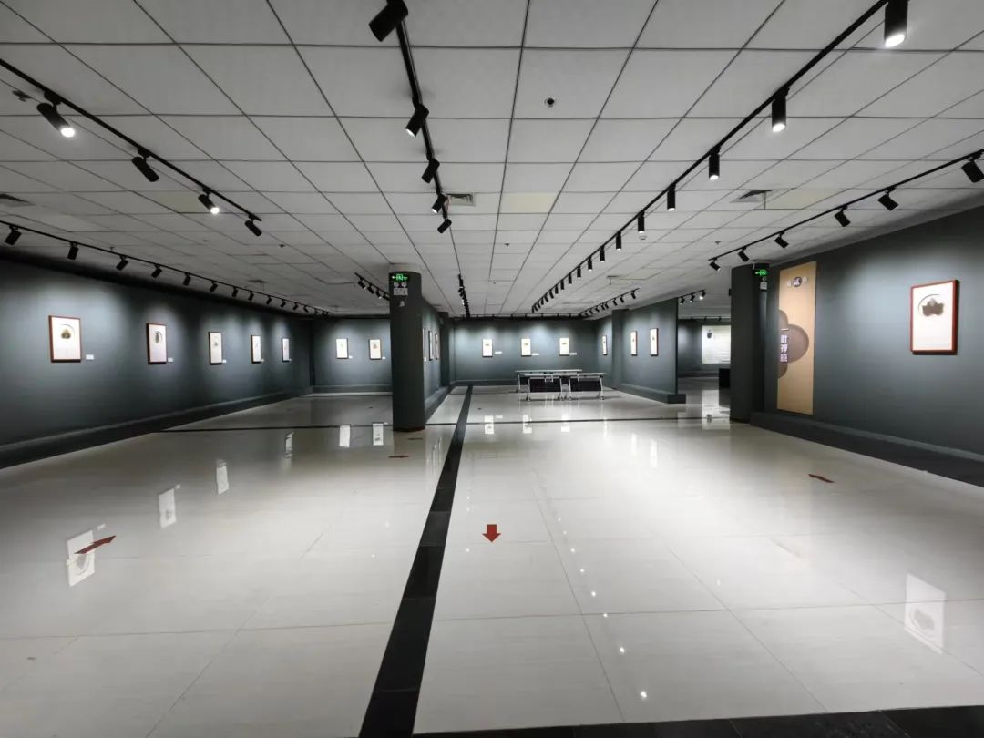 赤壁图书馆“千里江山·叶画艺术展——探索自然的脉络”活动(第二期)预告