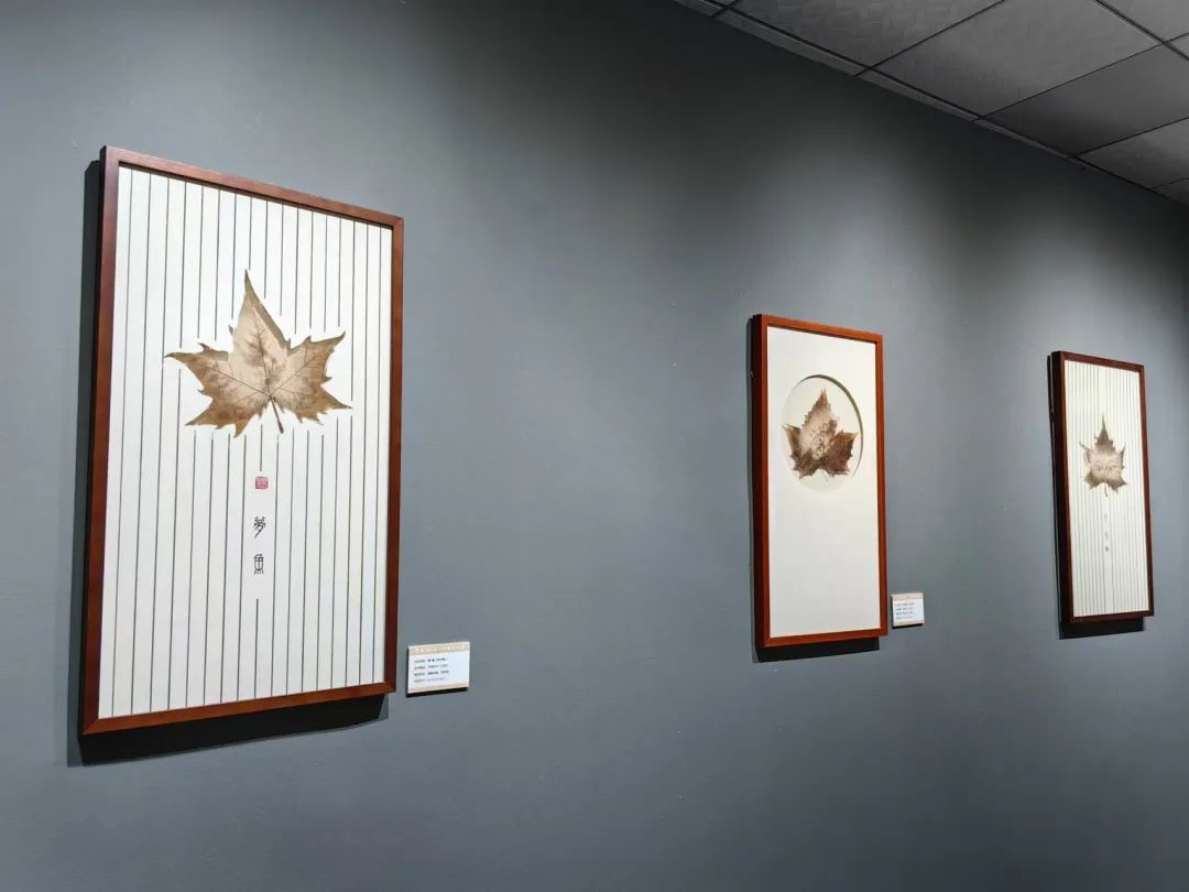 赤壁图书馆“千里江山·叶画艺术展——探索自然的脉络”活动(第二期)预告