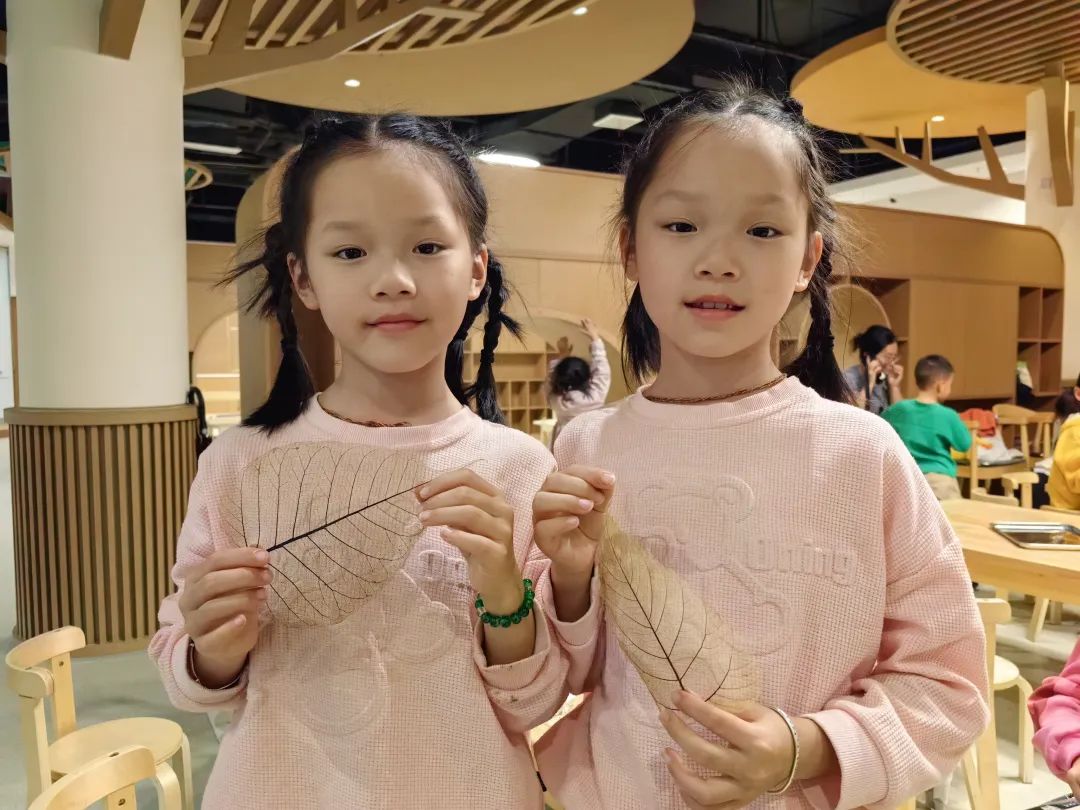 赤壁图书馆“千里江山·叶画艺术展——探索自然的脉络”活动(第二期)预告